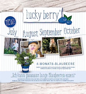 Lucky Berry® Blaubeere Titelbild Folder