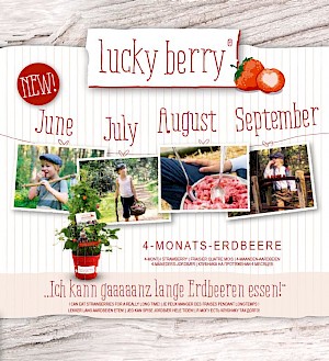 Lucky Berry® Erdbeere Titel Folder