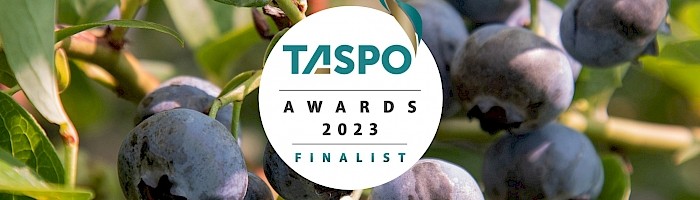 Taspo Awards Finalist 2023