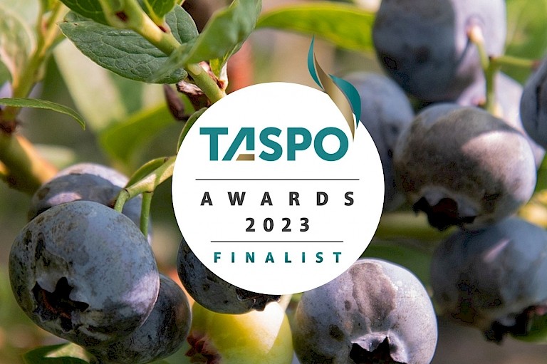 Taspo Awards Finalist 2023